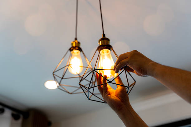 Best Electrician for Home Renovation  in Shallowater, TX